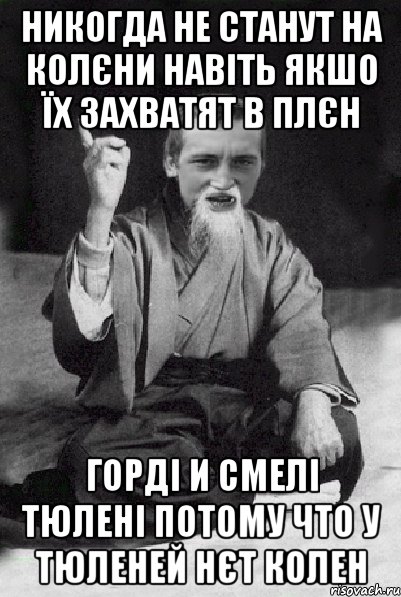 никогда не станут на колєни навіть якшо їх захватят в плєн горді и смелі тюлені потому что у тюленей нєт колен, Мем Мудрий паца