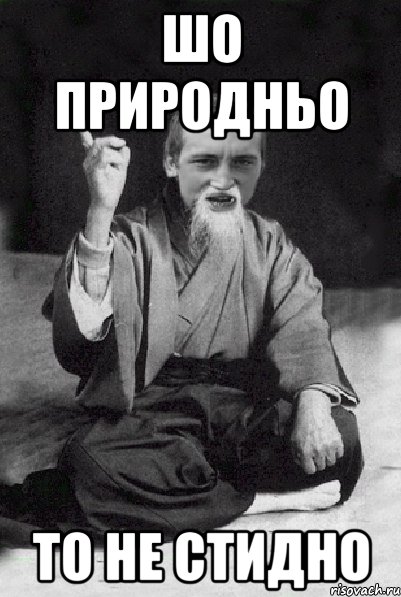 Шо природньо то не стидно, Мем Мудрий паца