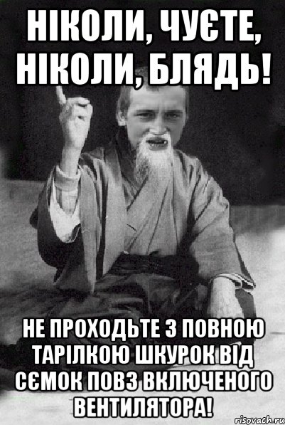 Ніколи, чуєте, ніколи, блядь! Не проходьте з повною тарілкою шкурок від сємок повз включеного вентилятора!, Мем Мудрий паца