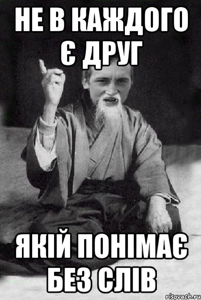 не в каждого є друг якій понімає без слів, Мем Мудрий паца