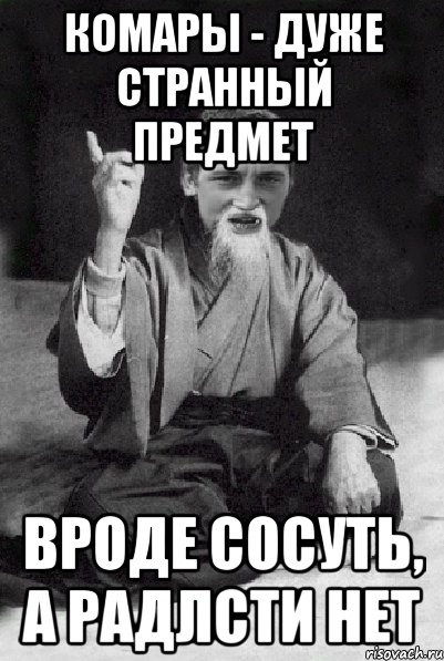 Комары - дуже странный предмет вроде сосуть, а радлсти нет, Мем Мудрий паца