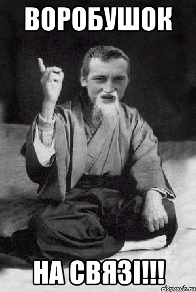 Воробушок на связі!!!, Мем Мудрий паца