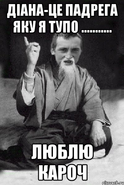 Діана-це падрега яку я тупо ........... люблю кароч, Мем Мудрий паца