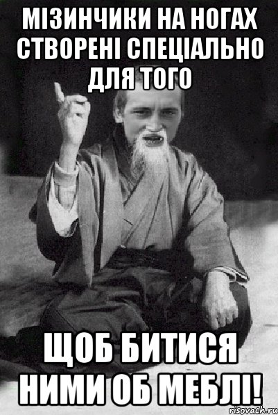 Мізинчики на ногах створені спеціально для того щоб битися ними об меблі!, Мем Мудрий паца