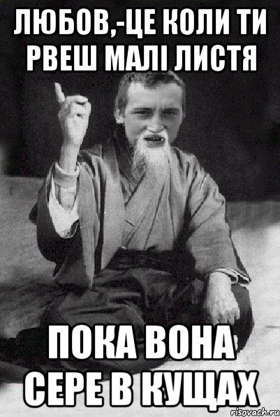 Любов,-це коли ти рвеш малі листя Пока вона сере в кущах, Мем Мудрий паца