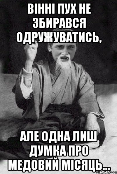 Вінні Пух не збирався одружуватись, але одна лиш думка про медовий місяць…, Мем Мудрий паца