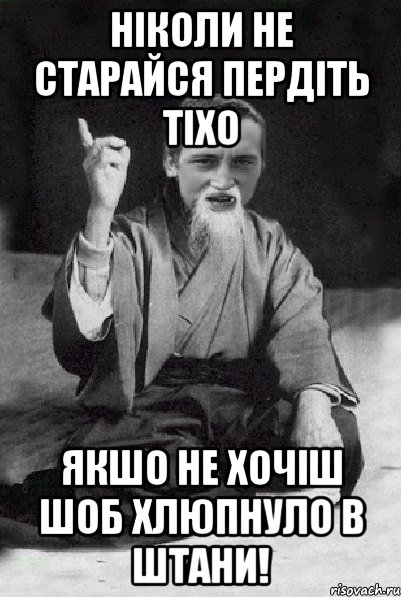 Ніколи не старайся пердіть тіхо якшо не хочіш шоб хлюпнуло в штани!, Мем Мудрий паца