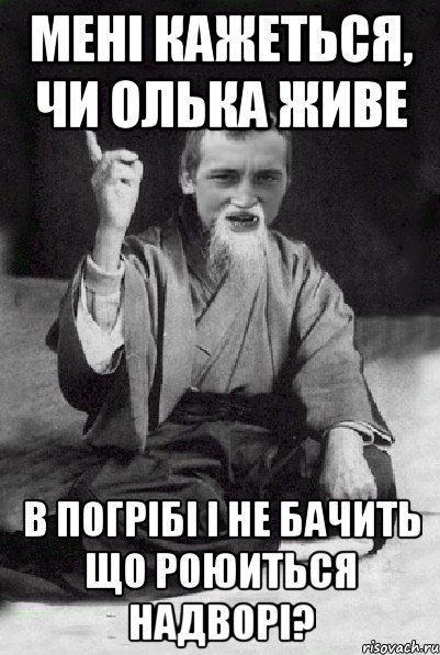 Мені кажеться, чи Олька живе в погрібі і не бачить що роюиться надворі?, Мем Мудрий паца
