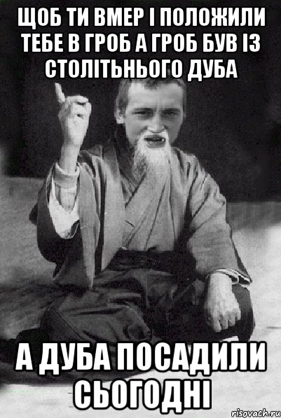 щоб ти вмер і положили тебе в гроб а гроб був із столітьнього дуба а дуба посадили сьогодні, Мем Мудрий паца