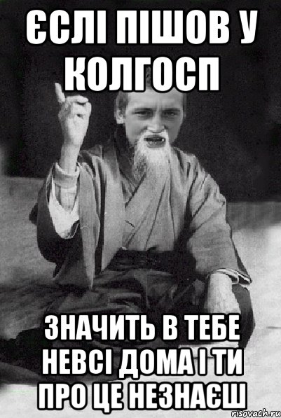 єслі пішов у колгосп значить в тебе невсі дома і ти про це незнаєш, Мем Мудрий паца