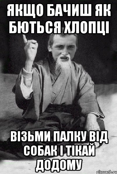 якщо бачиш як бються хлопці візьми палку від собак і тікай додому, Мем Мудрий паца