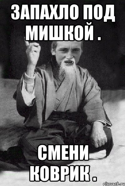 Запахло под мишкой . Смени коврик ., Мем Мудрий паца