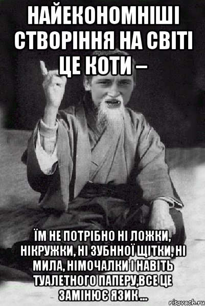 Найекономніші створіння на світі це коти – їм не потрібно ні ложки, нікружки, ні зубнної щітки, ні мила, німочалки і навіть туалетного паперу,все це замінює язик ..., Мем Мудрий паца