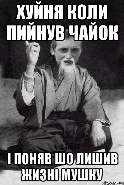 Хуйня коли пийнув чайок і поняв шо лишив жизні мушку, Мем Мудрий паца