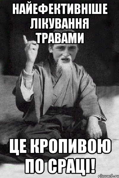 Найефективніше лікування травами Це кропивою по сраці!, Мем Мудрий паца