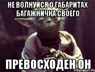 НЕ ВОЛНУЙСЯ О ГАБАРИТАХ БАГАЖНИЧКА СВОЕГО ПРЕВОСХОДЕН ОН