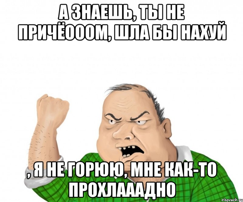 А знаешь, ты не причёооом, шла бы нахуй , я не горюю, мне как-то прохлааадно, Мем мужик