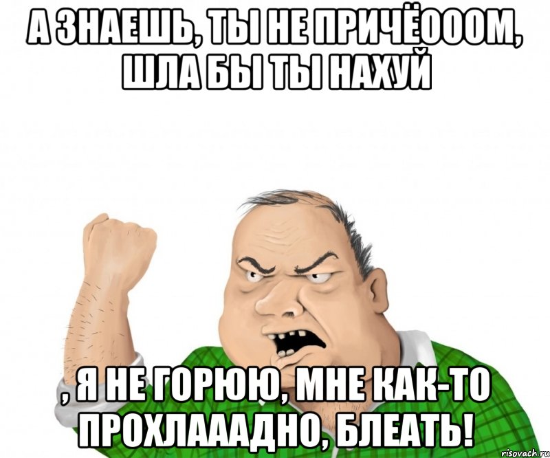 А знаешь, ты не причёооом, шла бы ты нахуй , я не горюю, мне как-то прохлааадно, блеать!, Мем мужик