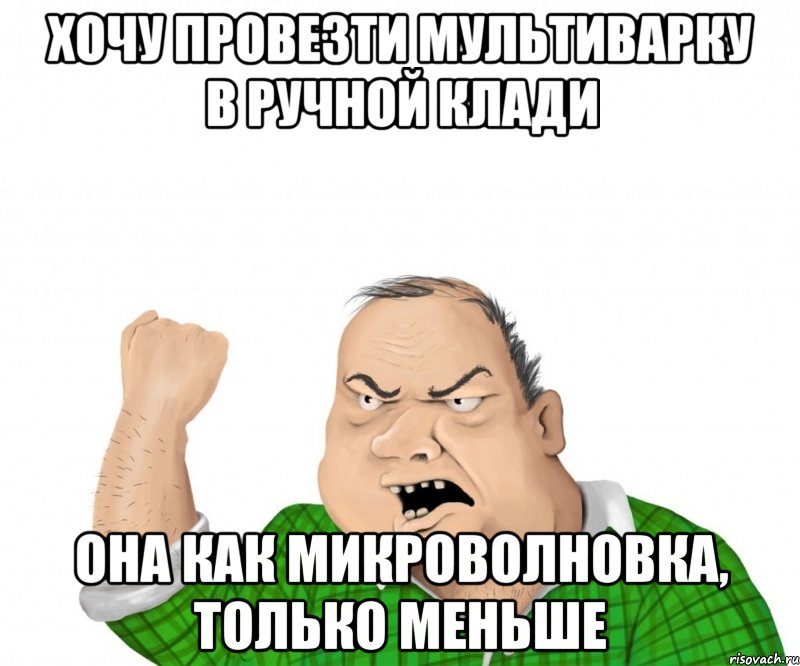 Хочу провезти мультиварку в ручной клади Она как микроволновка, только меньше, Мем мужик