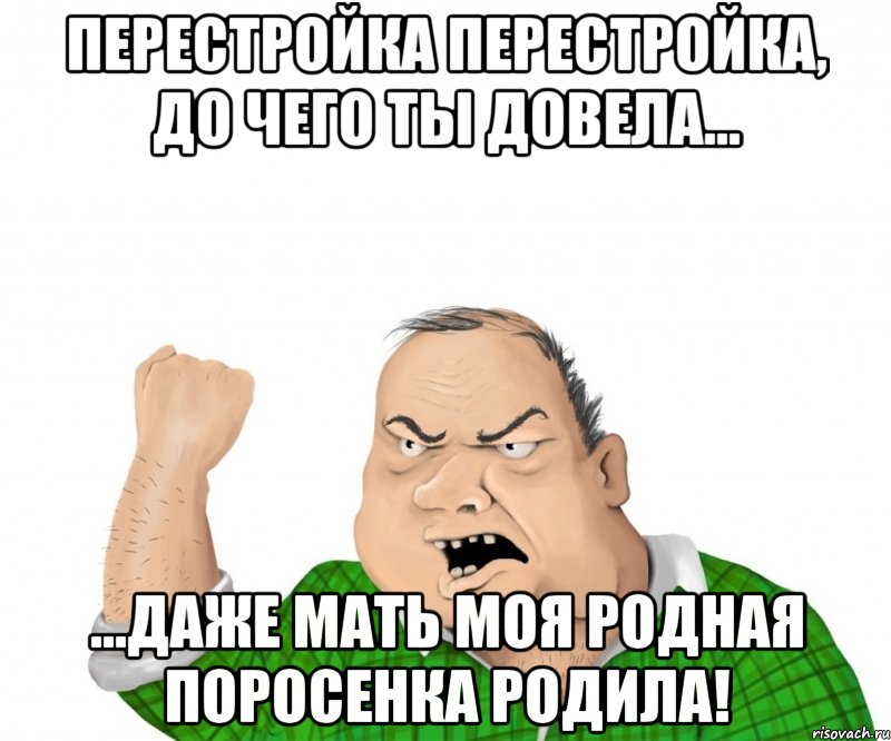 ПЕРЕСТРОЙКА ПЕРЕСТРОЙКА, ДО ЧЕГО ТЫ ДОВЕЛА... ...ДАЖЕ МАТЬ МОЯ РОДНАЯ ПОРОСЕНКА РОДИЛА!, Мем мужик
