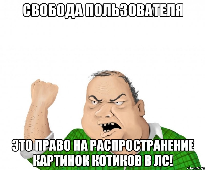 Свобода пользователя это право на распространение картинок котиков в ЛС!, Мем мужик