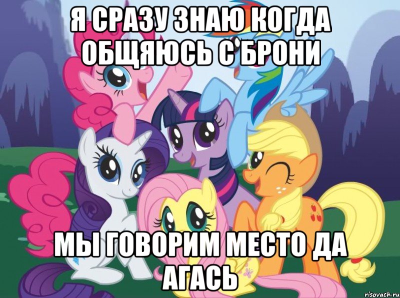 я сразу знаю когда общяюсь с брони мы говорим место да агась, Мем My little pony