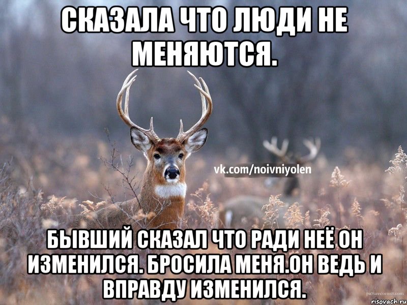 Сказала что люди не меняются. Бывший сказал что ради неё он изменился. Бросила меня.Он ведь и вправду изменился., Мем Наивный Олень vk