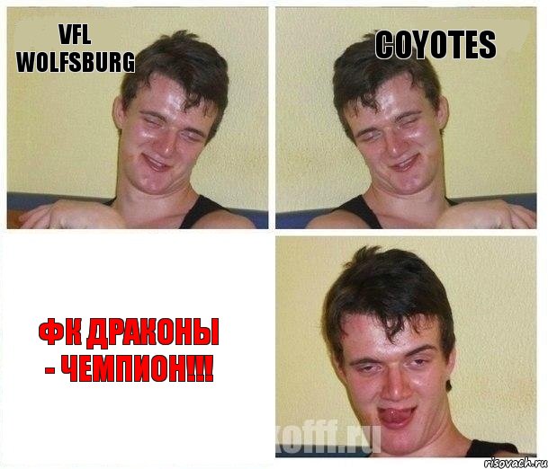 VfL Wolfsburg Coyotes ФК Драконы - чемпион!!!, Комикс Не хочу (10 guy)