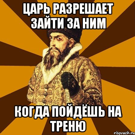 Царь разрешает зайти за ним Когда пойдёшь на треню, Мем Не царское это дело