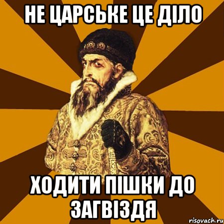 НЕ ЦАРСЬКЕ ЦЕ ДІЛО ХОДИТИ ПІШКИ ДО ЗАГВІЗДЯ, Мем Не царское это дело