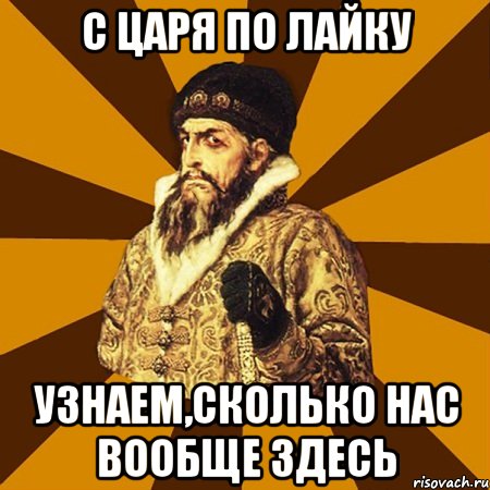 С ЦАРЯ ПО ЛАЙКУ УЗНАЕМ,СКОЛЬКО НАС ВООБЩЕ ЗДЕСЬ, Мем Не царское это дело