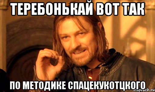 Теребонькай вот так По методике Спацекукотцкого, Мем Нельзя просто так взять и (Боромир мем)