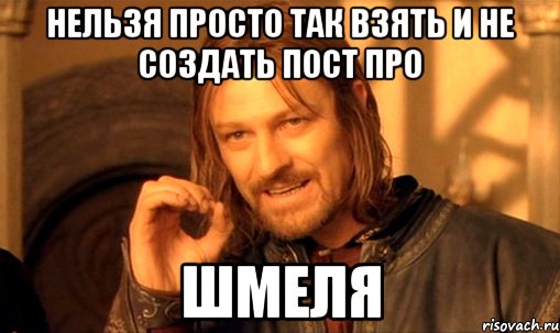 Нельзя просто так взять и не создать пост про ШМЕЛЯ, Мем Нельзя просто так взять и (Боромир мем)