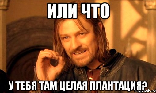 Или что У тебя там целая плантация?, Мем Нельзя просто так взять и (Боромир мем)