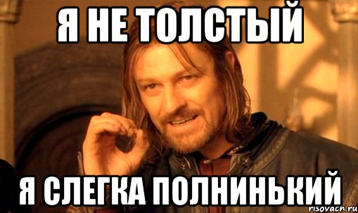 я не толстый я слегка полнинький