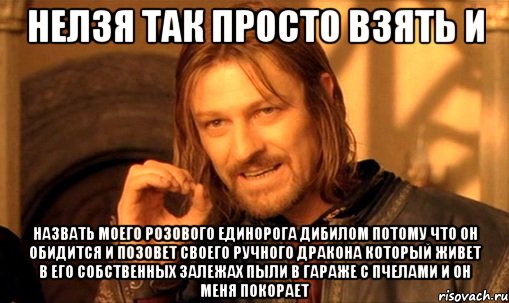 нелзя так просто взять и назвать моего розового единорога дибилом потому что он обидится и позовет своего ручного дракона который живет в его собственных залежах пыли в гараже с пчелами и он меня покорает, Мем Нельзя просто так взять и (Боромир мем)