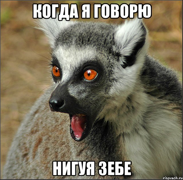 Когда я говорю Нигуя зебе, Мем лемур