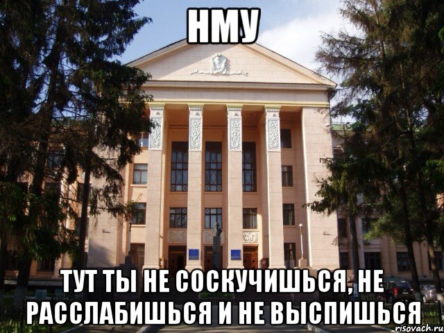 НМУ Тут ты не соскучишься, не расслабишься и не выспишься