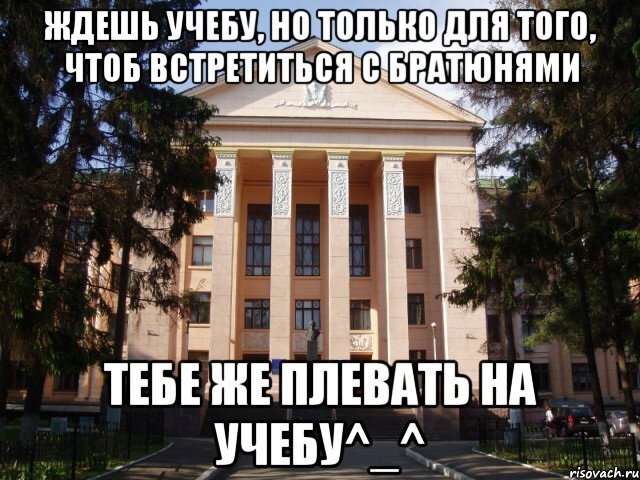 Ждешь учебу, но только для того, чтоб встретиться с братюнями Тебе же плевать на учебу^_^, Мем Нму