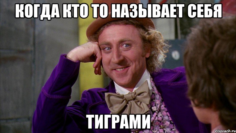 Когда кто то называет себя ТИГРАМИ, Мем Ну давай расскажи (Вилли Вонка)