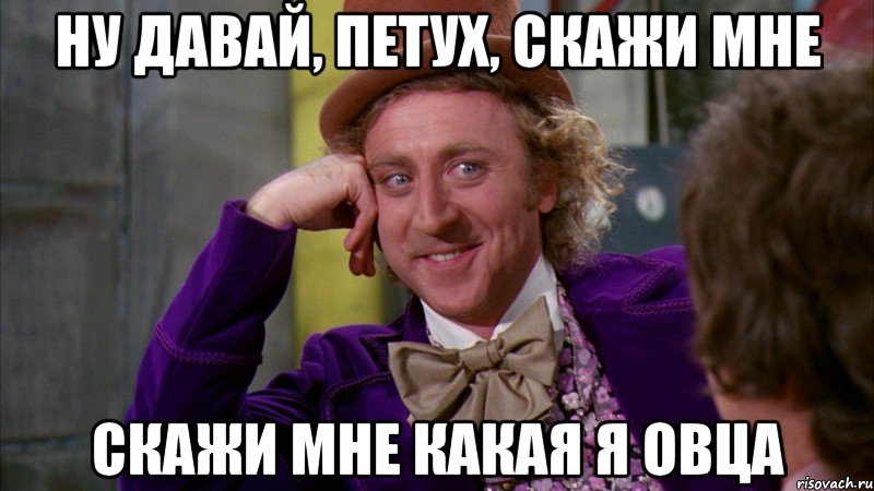 НУ ДАВАЙ, ПЕТУХ, СКАЖИ МНЕ СКАЖИ МНЕ КАКАЯ Я ОВЦА, Мем Ну давай расскажи (Вилли Вонка)