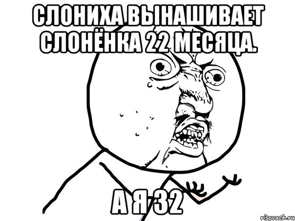 Слониха вынашивает слонёнка 22 месяца. а я 32, Мем Ну почему (белый фон)