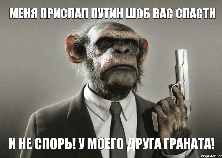 меня прислал путин шоб вас спасти и не спорь! У моего друга граната!, Комикс обезьяна с пистолетом