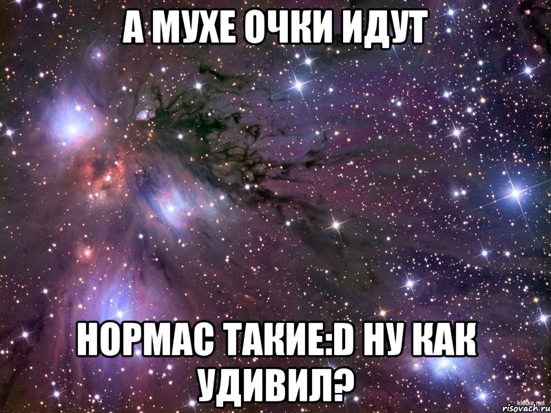 А Мухе очки идут Нормас такие:D Ну как удивил?, Мем Космос