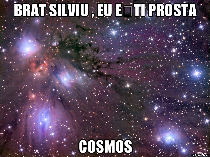 Brat Silviu , eu ești prosta Cosmos, Мем Космос