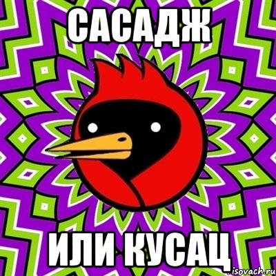 Сасадж или кусац, Мем Омская птица