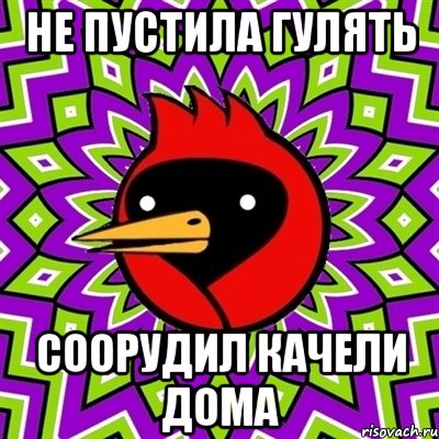 Не пустила гулять Соорудил качели дома, Мем Омская птица