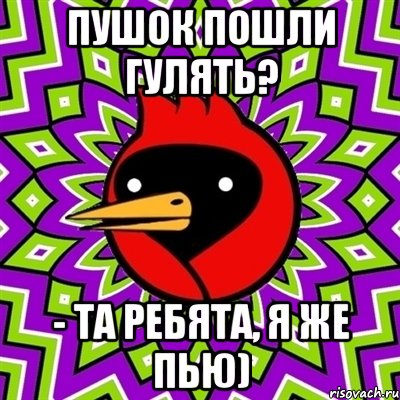 Пушок пошли гулять? - Та ребята, я же пью), Мем Омская птица