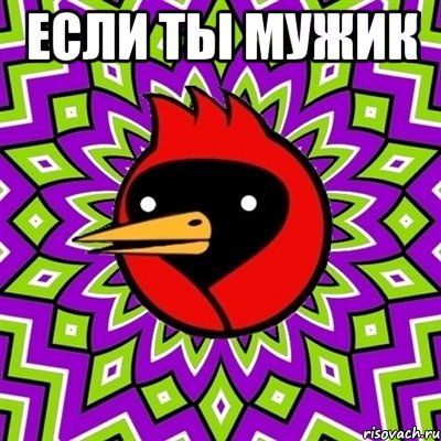 если ты мужик , Мем Омская птица