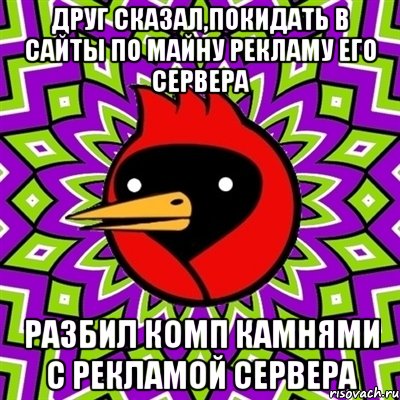 Друг сказал,покидать в сайты по майну рекламу его сервера Разбил комп камнями с рекламой сервера, Мем Омская птица